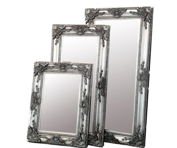 Roma Bevel Mirror in Antique – ALL SIZES