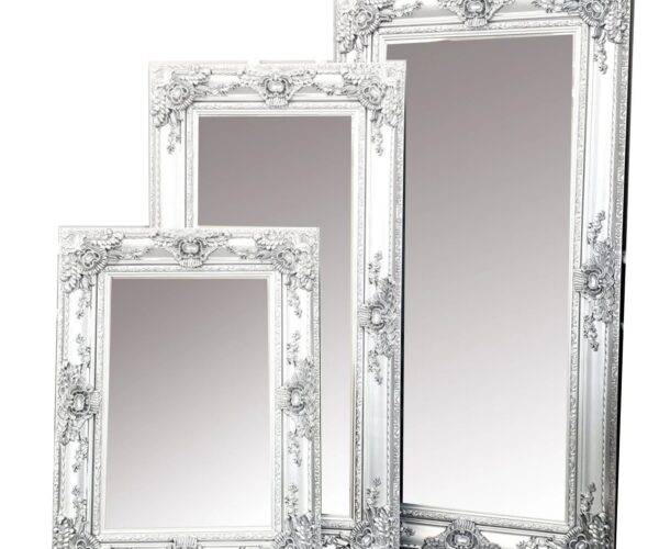 Roma Bevel Mirror in Silver – ALL SIZES